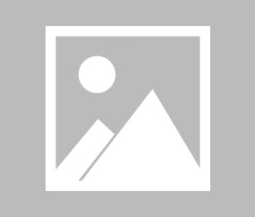 开云官网-Scout在瑞士队比赛中表现优异，重返赛场引发热议！